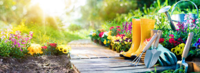 April Featured Advertiser Spotlight: Plant Nurseries & Garden Stores