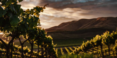 Mega Contest Update: Wine Country Weekend Sweepstakes has ended!